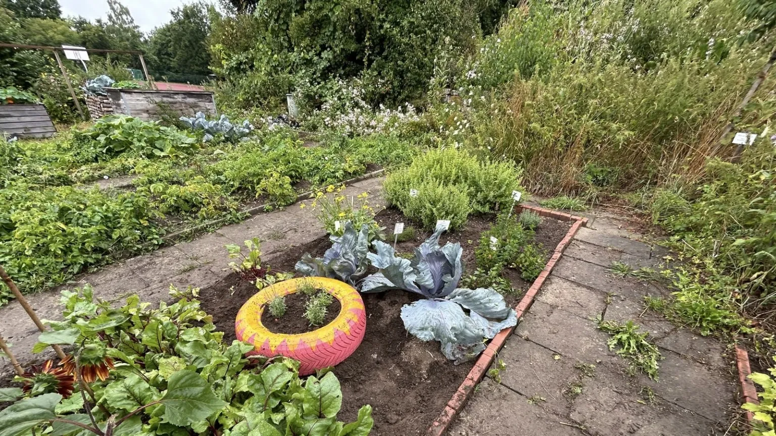 089 schulgarten 1536p agsprojekte ca 2025 08 23.dc26a26d8319fb5a