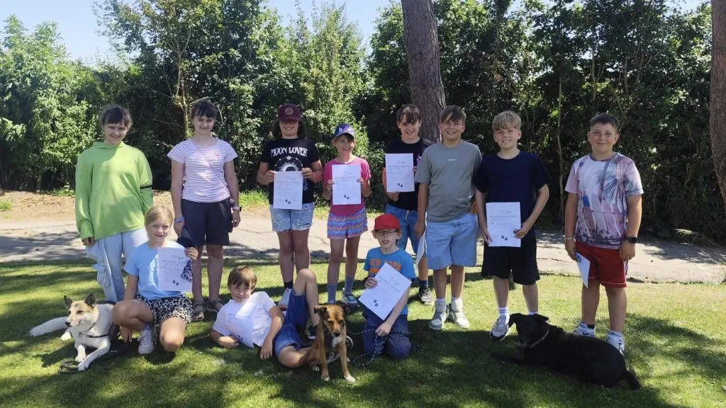 191 hunde 1024p schulhund cms 2025 08 31.aa1a01020eed7086