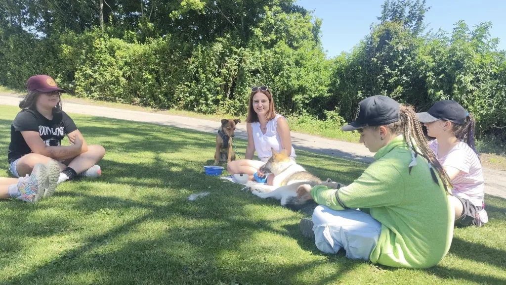 192 hunde 1024p schulhund cms 2025 08 31.2bc5646953bcc426