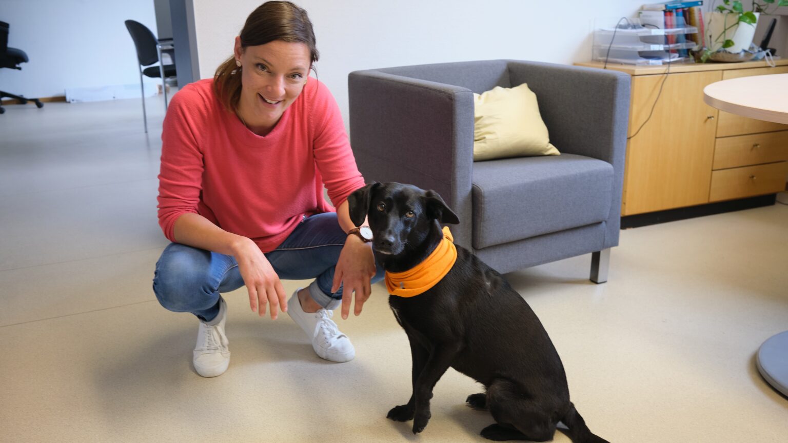 226 fenster schulsozialarbeit