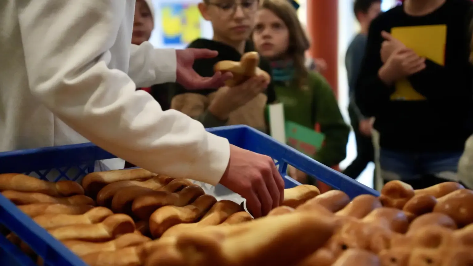 301 nikolaus 2048p smv ca 2026 01 06.ac4e57c8e0f46f06