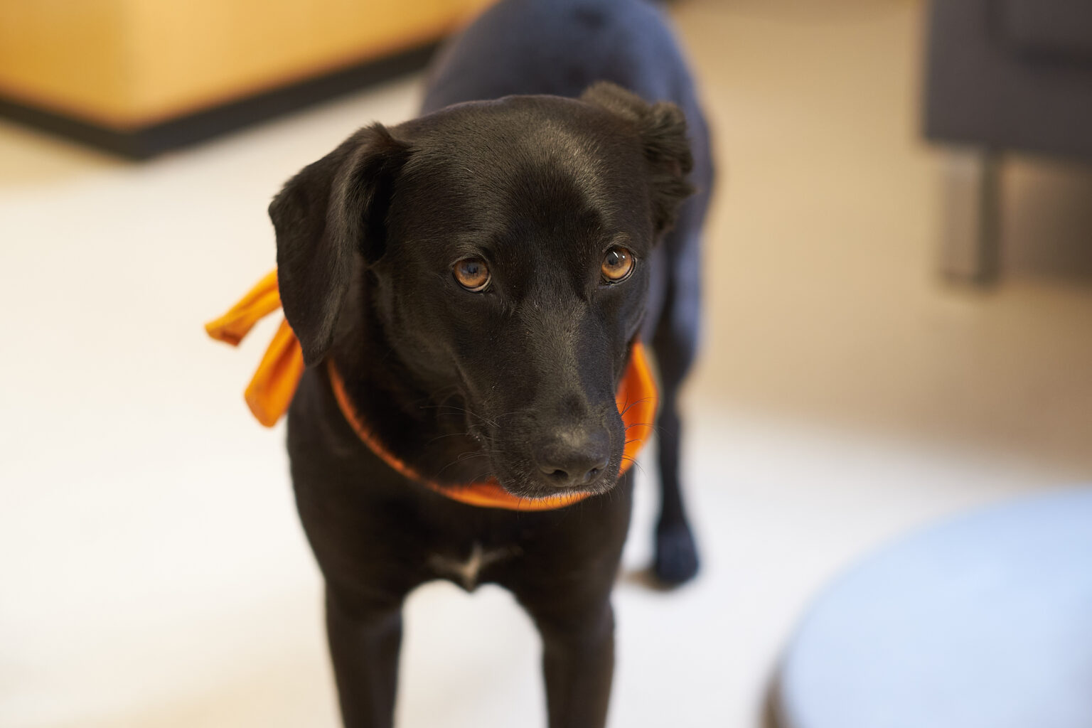 Copyright Achim Käflein XTB3540